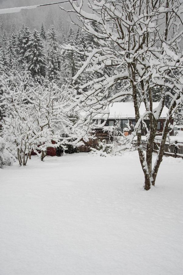 Gipfelkoenig Apartamento Bayrischzell Exterior foto